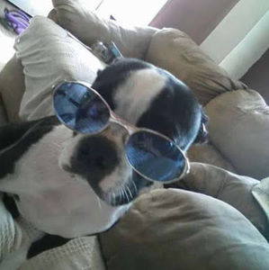 Meet your Posher, Alissa